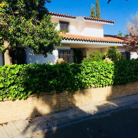 Ginés Villa Ferrer Sevilla מראה חיצוני תמונה